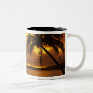 Caneca De Café Em Dois Tons EUA, Havaí, Kauai, nascença colorida em um