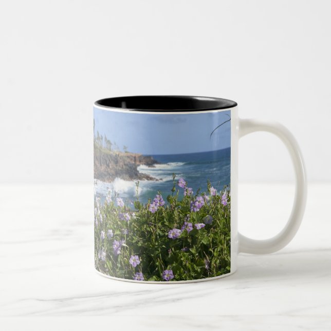 Caneca De Café Em Dois Tons EUA, Havaí, Kauai, perto de Kapaa, noroeste (Direita)
