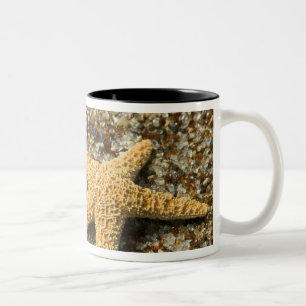 Caneca De Café Em Dois Tons EUA, HI, Kauai, Glass Beach com estrela-do-mar