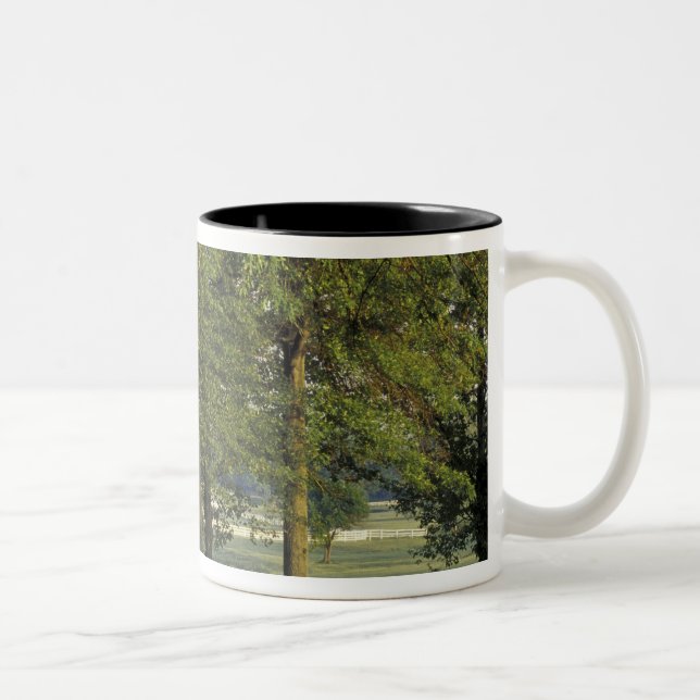 Caneca De Café Em Dois Tons EUA, Kentucky, Lexington. Fileira de árvores e (Direita)