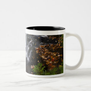 Caneca De Café Em Dois Tons EUA, Michigan, Península Superior. Bond Falls e