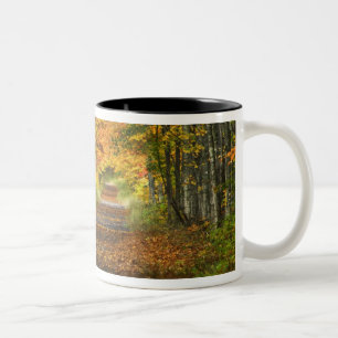 Caneca De Café Em Dois Tons EUA, Michigan, Península Superior. Estrada para