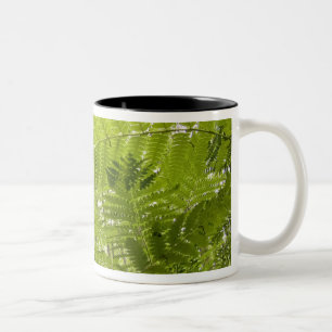 Caneca De Café Em Dois Tons EUA, Minnesota, North Shore Lake Superior,