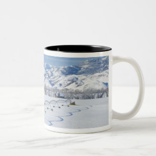Caneca De Café Em Dois Tons EUA, MT, Fazenda perto de Livingston
