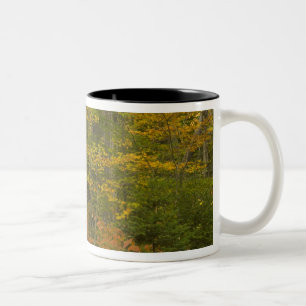 Caneca De Café Em Dois Tons EUA, New Hampshire, Livermore, White Mountain