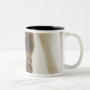 Caneca De Café Em Dois Tons EUA, New-jersey, Jersey City, filhote de cachorro