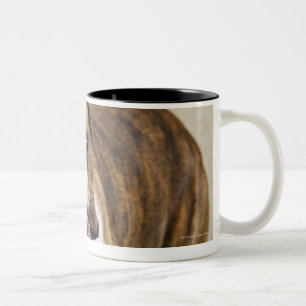 Caneca De Café Em Dois Tons EUA, New-jersey, Jersey City, retrato de bonito