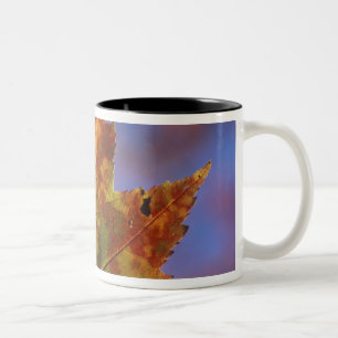 Caneca De Café Em Dois Tons EUA, Nova Hampshire, Montanhas Brancas, Franconia