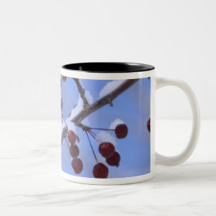Caneca De Café Em Dois Tons EUA, Nova Inglaterra, Massachusetts, Reading, 3