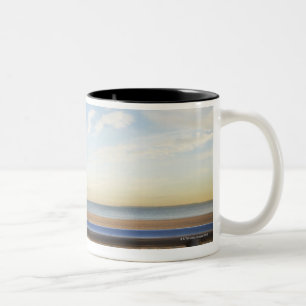 Caneca De Café Em Dois Tons EUA, Nova Iorque, Coney Island, três gaivotas