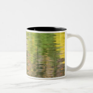 Caneca De Café Em Dois Tons EUA, Nova York, Adirondacks, Reflexões na água