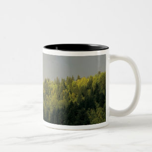 Caneca De Café Em Dois Tons EUA, Oregon, Columbia River Gorge National