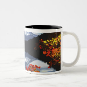 Caneca De Café Em Dois Tons EUA, Oregon, Floresta Nacional de Mt. Hood.