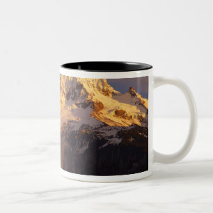 Caneca De Café Em Dois Tons EUA, Oregon, Floresta Nacional do Monte Hood. Rola