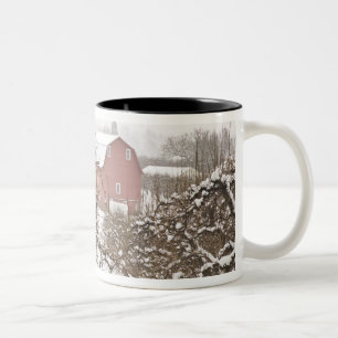 Caneca De Café Em Dois Tons EUA, Oregon, Hood River. Maçã coberta de neve