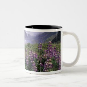 Caneca De Café Em Dois Tons EUA, Oregon, Nesika Beach. Lupino e Oregon