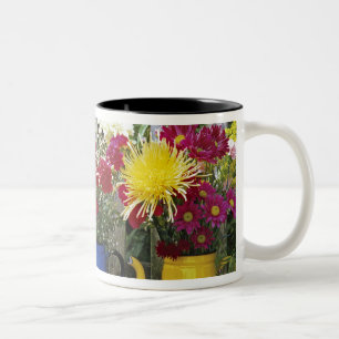 Caneca De Café Em Dois Tons EUA, Oregon, Portland. Louças esmaltadas antigas
