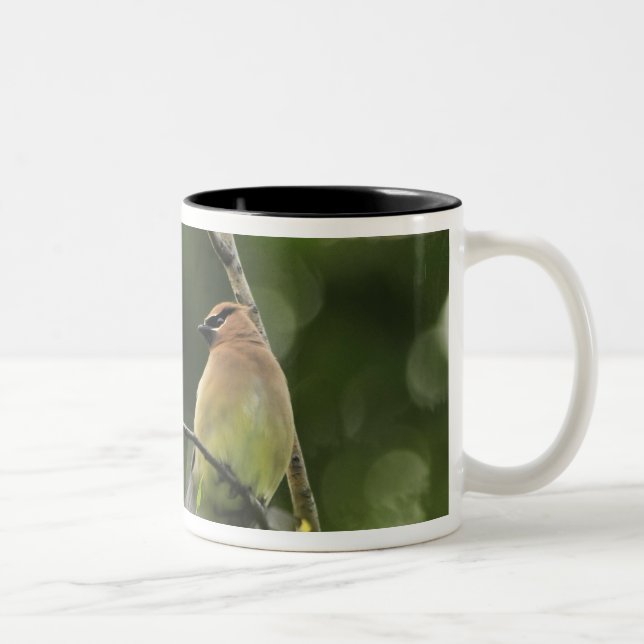 Caneca De Café Em Dois Tons EUA, Oregon, Portland. Macho de cambaxirra-america (Direita)