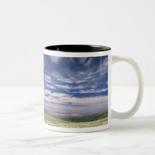Caneca De Café Em Dois Tons EUA, Oregon, Steens Mountain. Primavera floresce