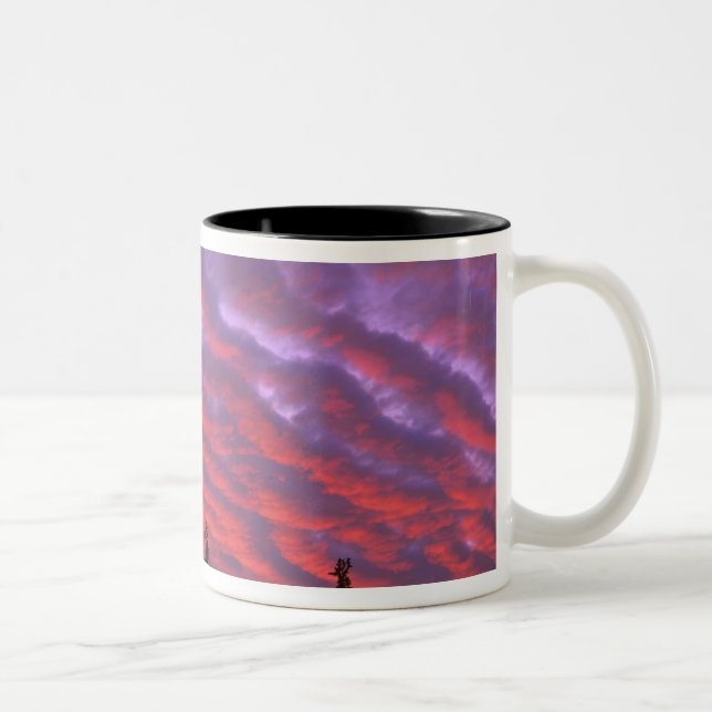 Caneca De Café Em Dois Tons EUA, Oregon, Three Sisters Wilderness, Vívido (Direita)