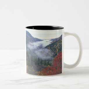 Caneca De Café Em Dois Tons EUA, Tennessee, Excelente Smokey Mountains Nationa