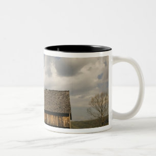 Caneca De Café Em Dois Tons EUA, Tennessee, Great Smoky Mountain NP.