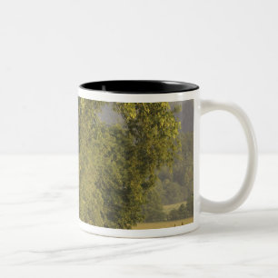 Caneca De Café Em Dois Tons EUA, Tennessee, Parque Nacional das Grandes Montan