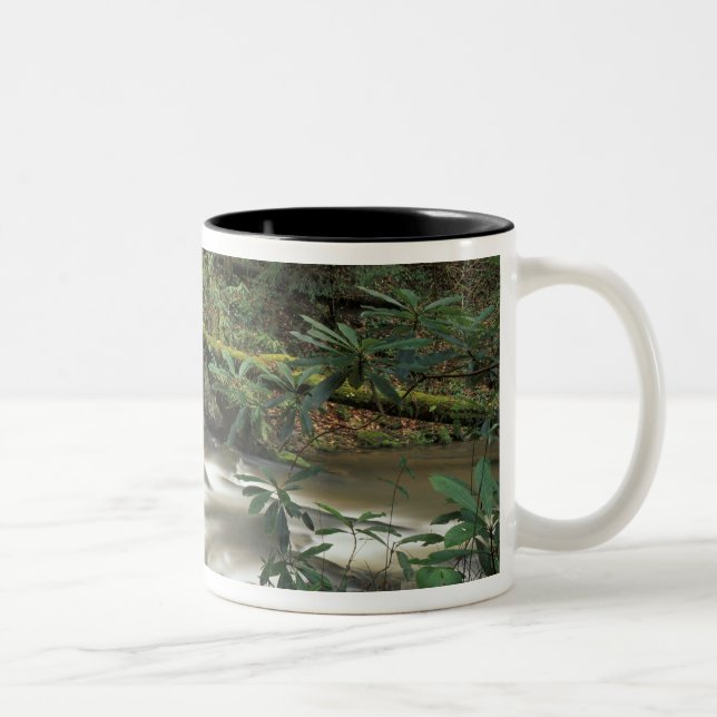 Caneca De Café Em Dois Tons EUA, Tennessee. Rio Grande do Sul (Direita)