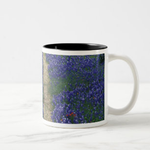 Caneca De Café Em Dois Tons EUA, Texas, perto de Marble Falls, Faixas em azul