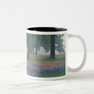 Caneca De Café Em Dois Tons EUA, Texas, Texas Hill Country Campo expansivo