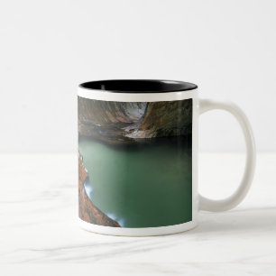 Caneca De Café Em Dois Tons EUA, Utah, Parque Nacional Zion. Cênico a partir d