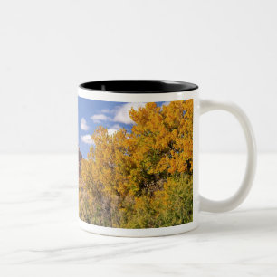 Caneca De Café Em Dois Tons EUA, Utah, perto do Parque Nacional Canyonlands em