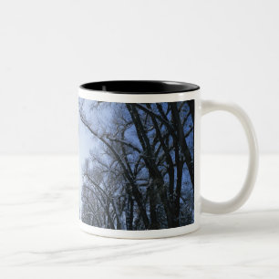 Caneca De Café Em Dois Tons EUA, Utah, Salt Lake City, Liberty Park,