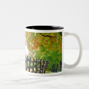 Caneca De Café Em Dois Tons EUA, Vermont. Cerca sob folhagem de outono.