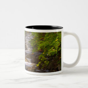 Caneca De Café Em Dois Tons EUA, Vermont, East Arlington, Correntes fluindo