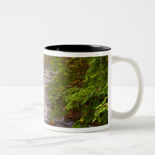 Caneca De Café Em Dois Tons EUA, Vermont, East Arlington, Correntes fluindo