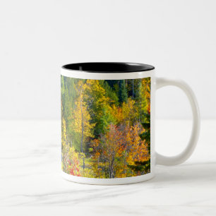 Caneca De Café Em Dois Tons EUA, Vermont. Folhagem de outono ao longo da rodov