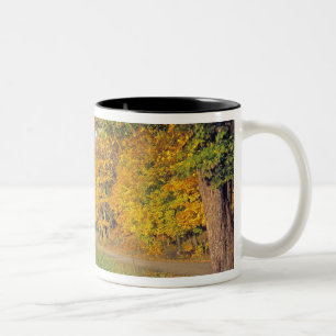Caneca De Café Em Dois Tons EUA, Vermont, Jenne Farm. Outono chega a Jenne