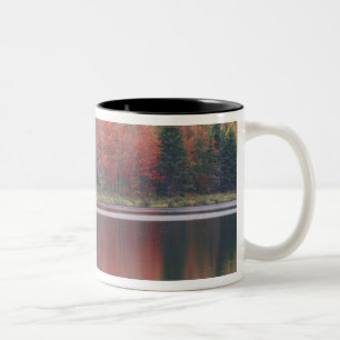 Caneca De Café Em Dois Tons EUA, Vermont, Lago McAllister, perto de Hazens Not