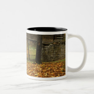 Caneca De Café Em Dois Tons EUA, Virgínia, Covington, Humpback Coberto