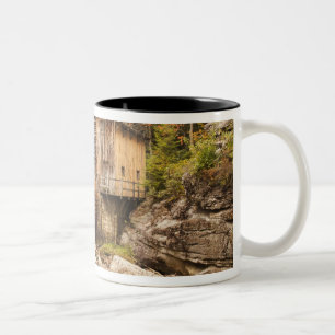 Caneca De Café Em Dois Tons EUA, Virginia Ocidental, Clifftop. Estado Babcock