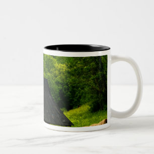 Caneca De Café Em Dois Tons EUA, Virgínia, parque nacional de Shenandoah, 2