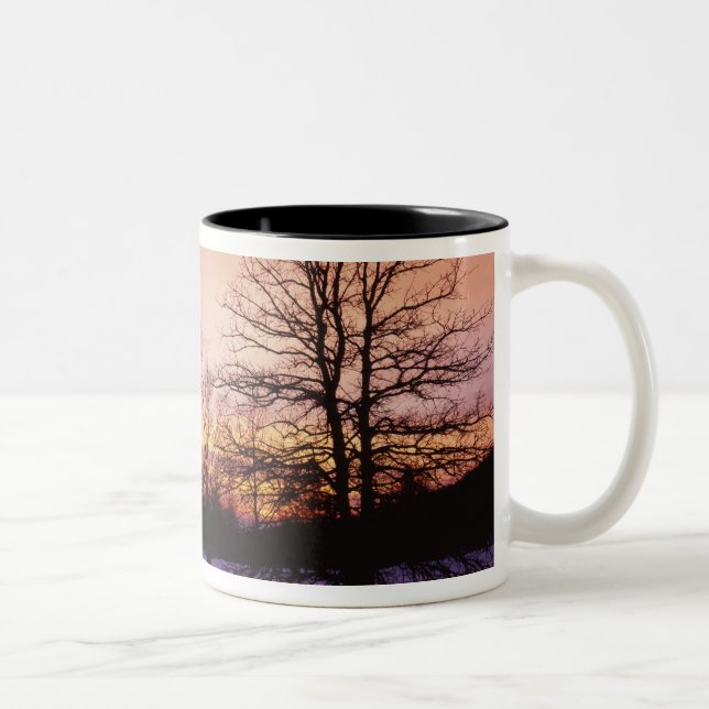 Caneca De Café Em Dois Tons EUA, Virginia, Shenandoah National Park, (Direita)