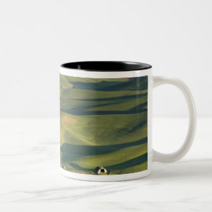 Caneca De Café Em Dois Tons EUA, WA, Condado de Whitman, Campos de Fazenda Pal