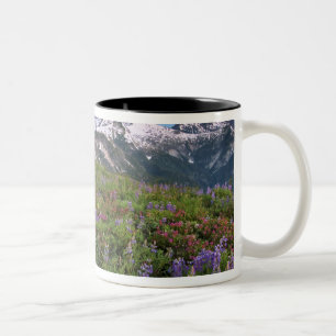 Caneca De Café Em Dois Tons EUA, Washington, Cascade Mountains, Norte