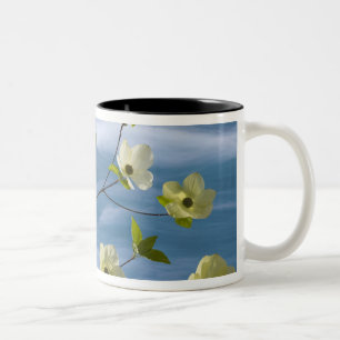 Caneca De Café Em Dois Tons EUA, Washington, Hood Canal. Corniso do Pacífico