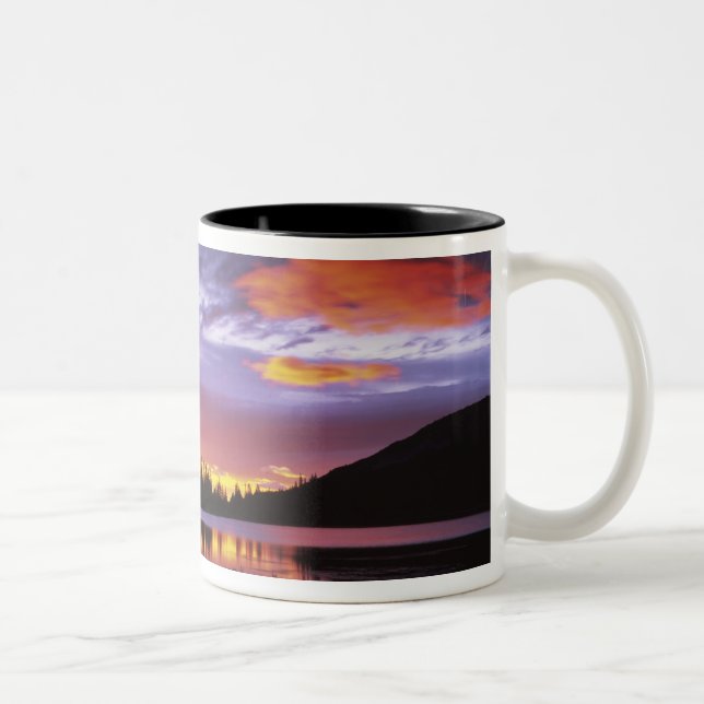 Caneca De Café Em Dois Tons EUA, Washington, Monte Rainier National Park, (Direita)