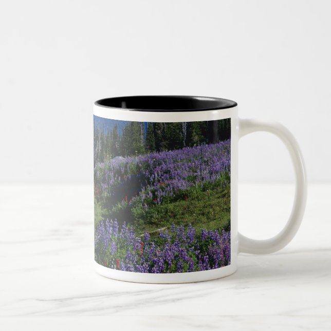 Caneca De Café Em Dois Tons EUA, Washington Mt. Adams Wilderness, Meadows (Direita)