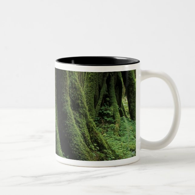 Caneca De Café Em Dois Tons EUA, Washington, Parque Nacional Olímpico, 2 (Direita)