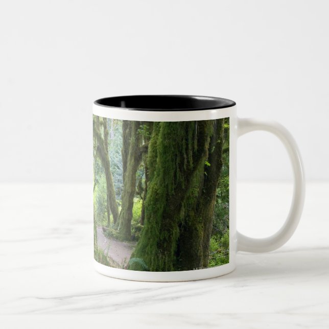 Caneca De Café Em Dois Tons EUA, Washington, parque nacional olímpico, chuva (Direita)